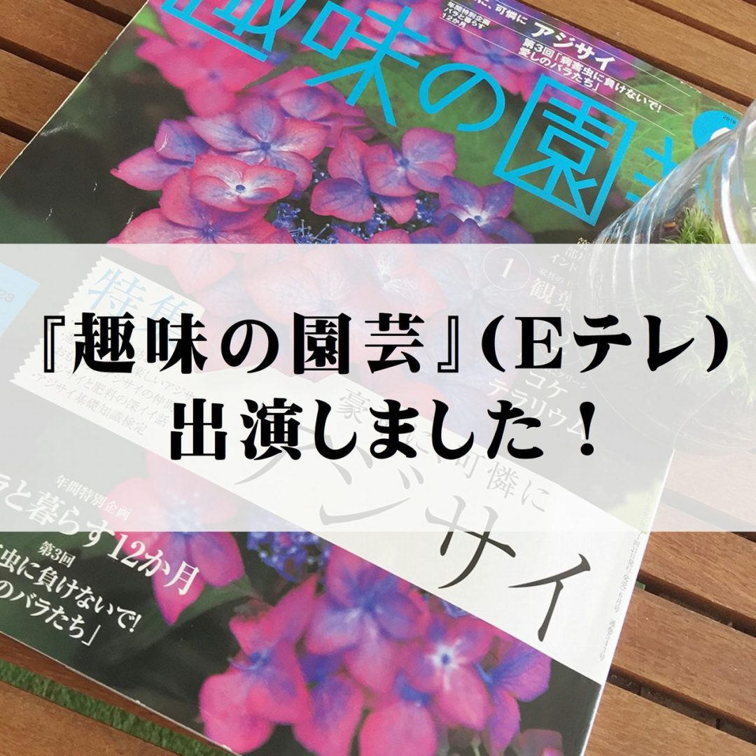 おしゃれにグリーン苔テラリウム 趣味の園芸 テレビ に出演しました 苔テラリウム専門サイト 道草michikusa 苔テラリウム 小さなコケの森 コケ商品の企画販売 ワークショップ おしゃれにグリーン苔テラリウム 趣味の園芸 テレビ に出演しました 苔テラリウム専門サイト 道草michikusa 苔テラリウム 小さなコケの森 コケ商品の企画販売 ワークショップ