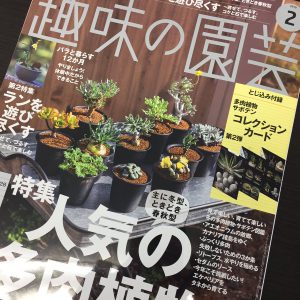 趣味の園芸２月号