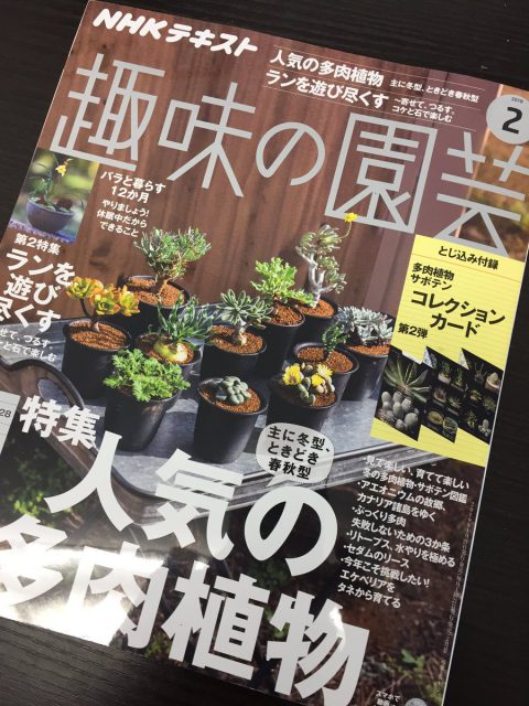 趣味の園芸２月号