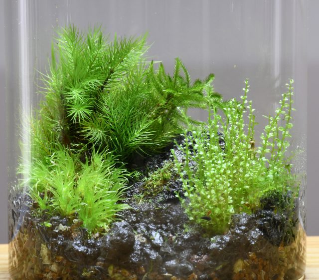 workshopイメージ