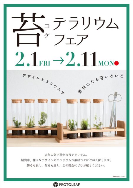 苔テラリウムフェアチラシ