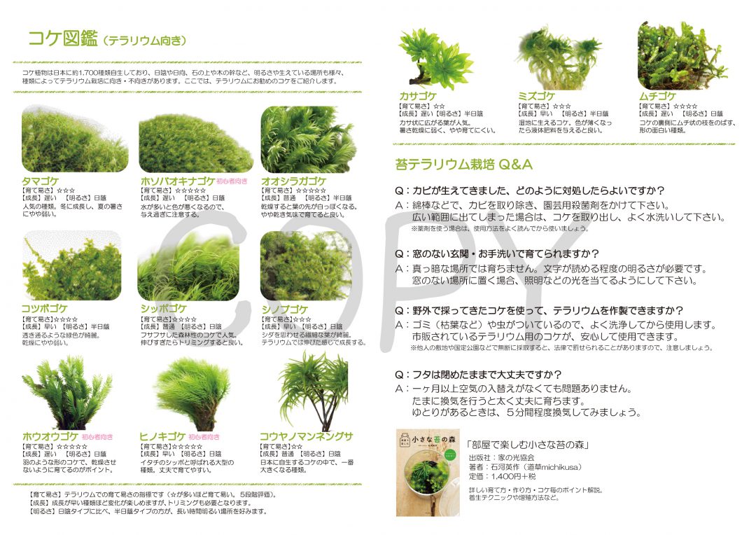 苔テラリウム説明書
