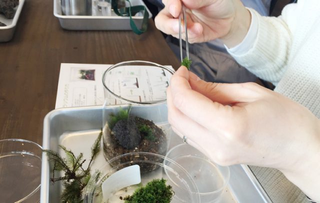 ワークショップ