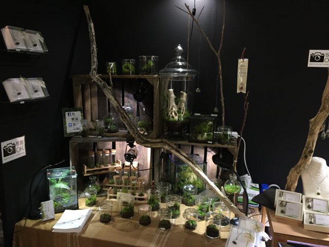 デザインフェスタ