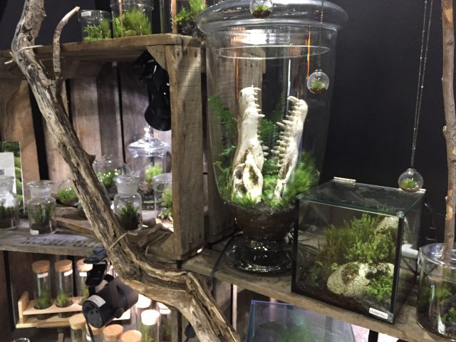 デザインフェスタ２