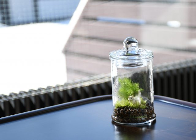 ワークショップ見本