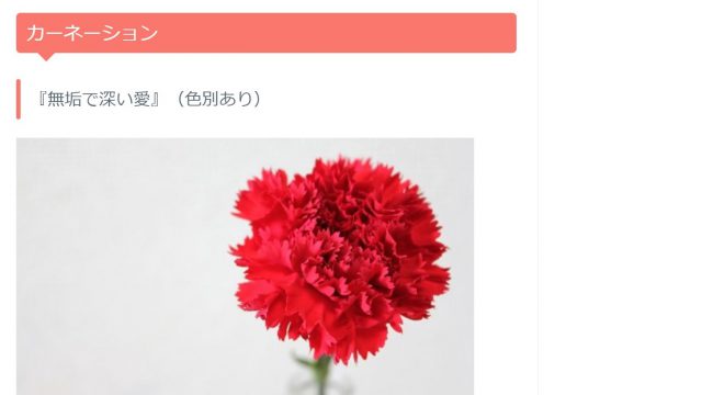 カーネーション花言葉