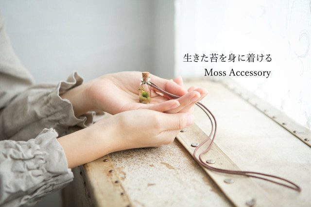苔アクセサリー