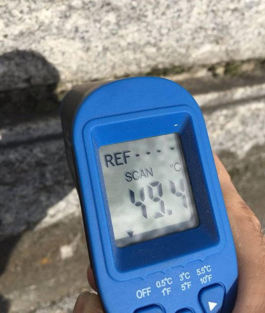 苔の温度