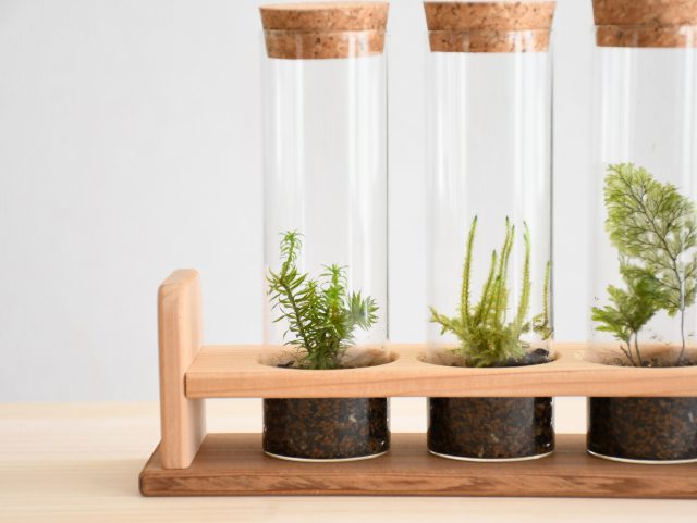 ワークショップ見本ー２