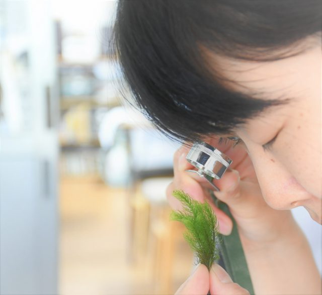 ルーペの見方３