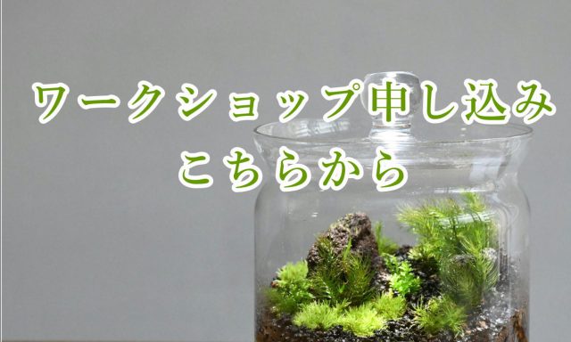 ワークショップ申し込み