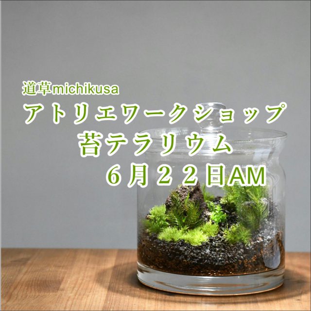 ６月２２日ワークショップ