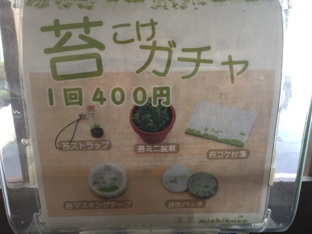 苔ガチャ