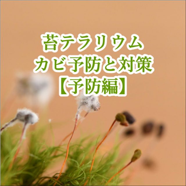 カビ予防