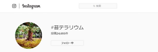 テラリウム とは テラリウムの定義と歴史をおさらいします 苔テラリウム専門サイト 道草michikusa 苔テラリウム 小さなコケの森 コケ 商品の企画販売 ワークショップ