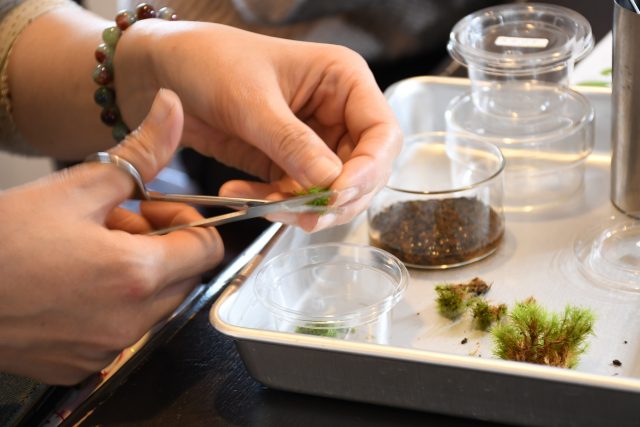 Workshopイメージ