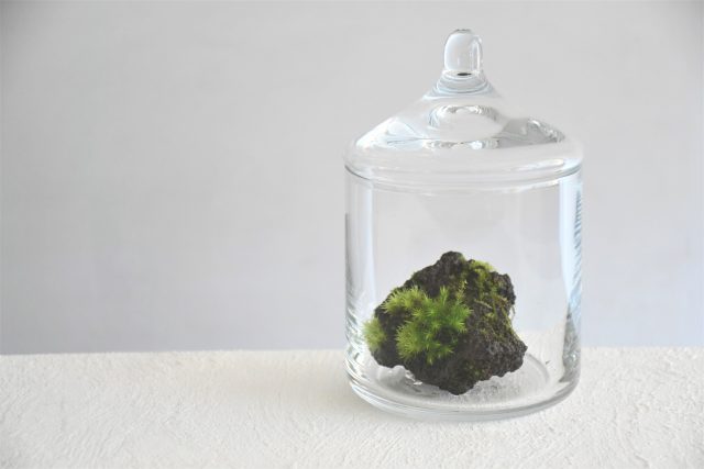 ガラス容器に入れてかざります