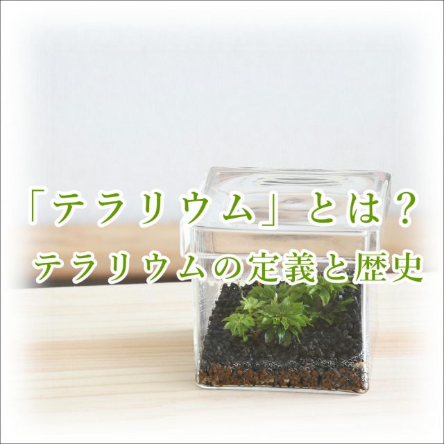 テラリウムとは？