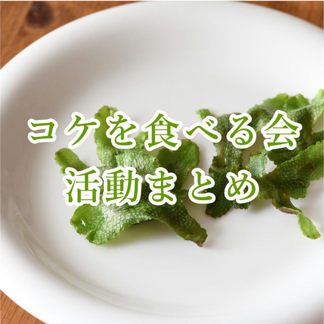 食べられる苔 ジャゴケ料理を探求 コケを食べる会 活動まとめ 苔テラリウム専門サイト 道草michikusa 苔テラリウム 小さなコケの森 コケ商品の企画販売 ワークショップ 食べられる苔 ジャゴケ料理を探求 コケを食べる会 活動まとめ 苔テラリウム専門サイト 道草michikusa 苔テラリウム 小さなコケの森 コケ商品の企画販売 ワークショップ