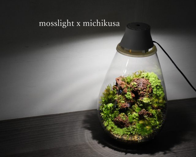 mosslight