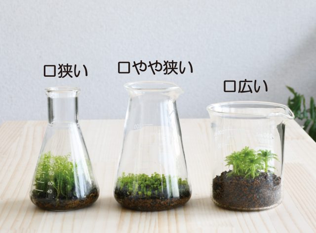 口の広さ