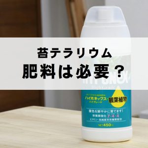 苔テラリウム　肥料は必要？