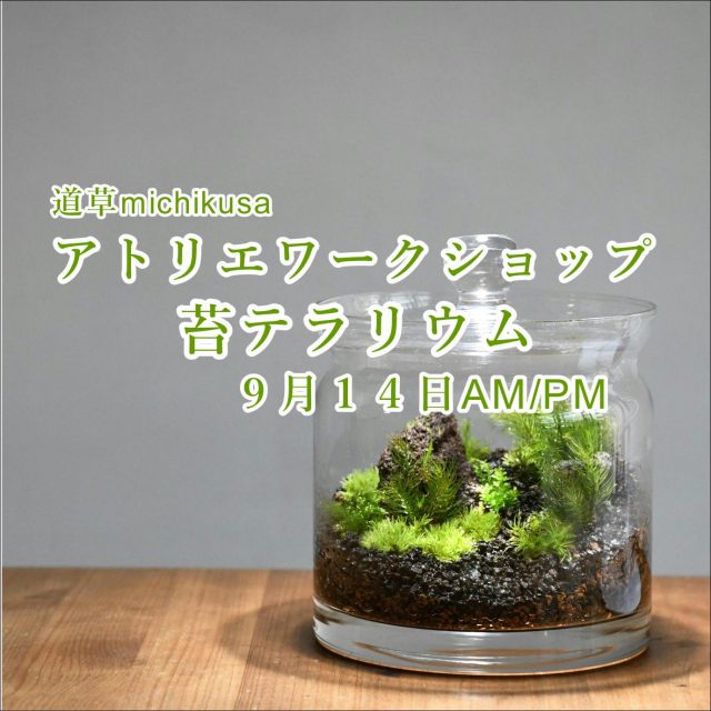 ワークショップ