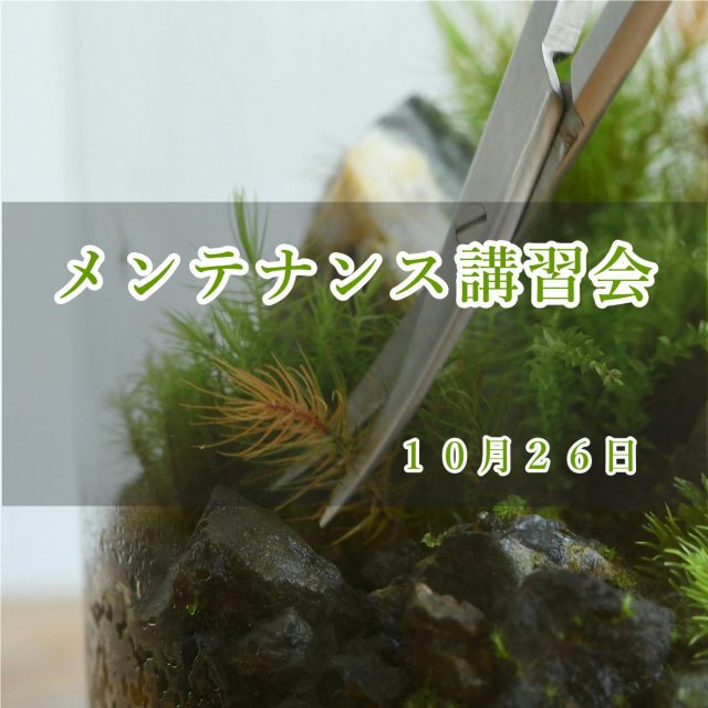 メンテナンス講習