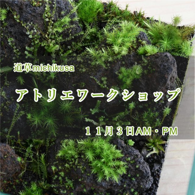 ワークショップ