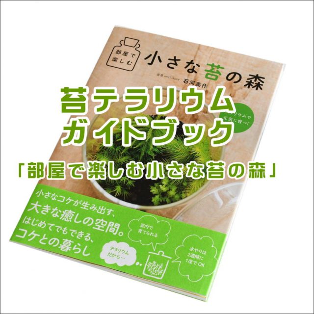 部屋で楽しむ小さな苔の森