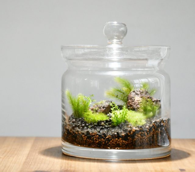 ワークショップ