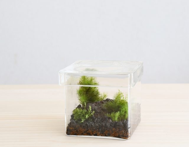 ワークショップ