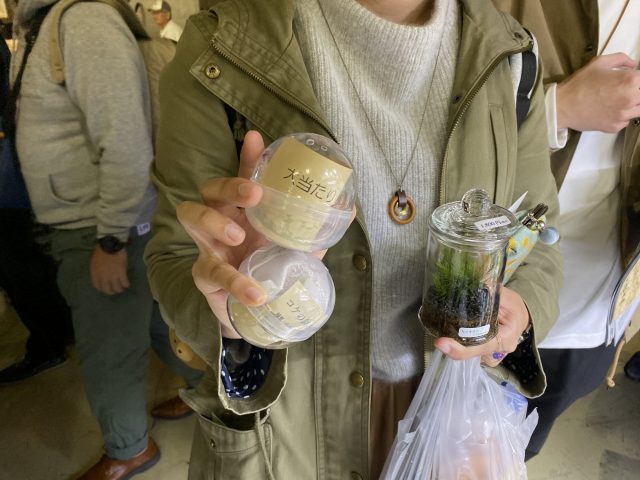 苔ガチャ