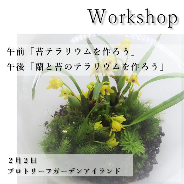 ワークショップ