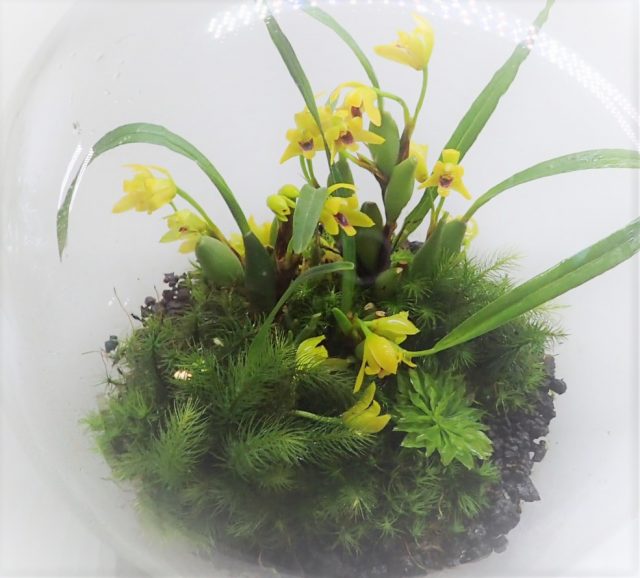 ワークショップ見本