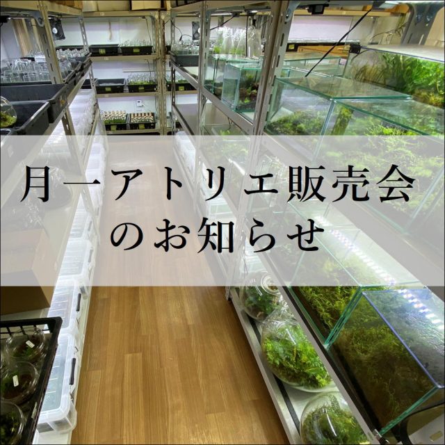 販売会