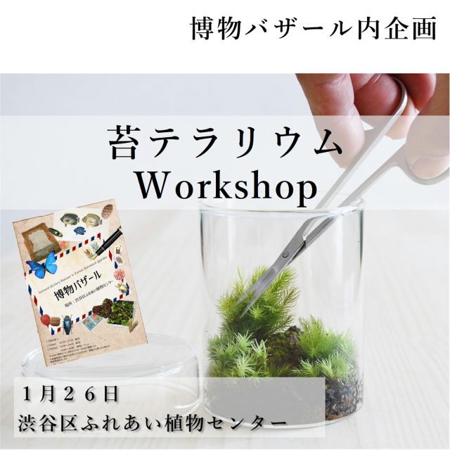 ワークショップ