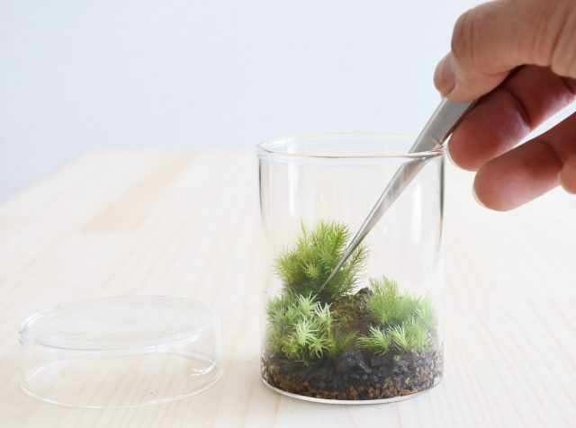 ワークショップイメージ