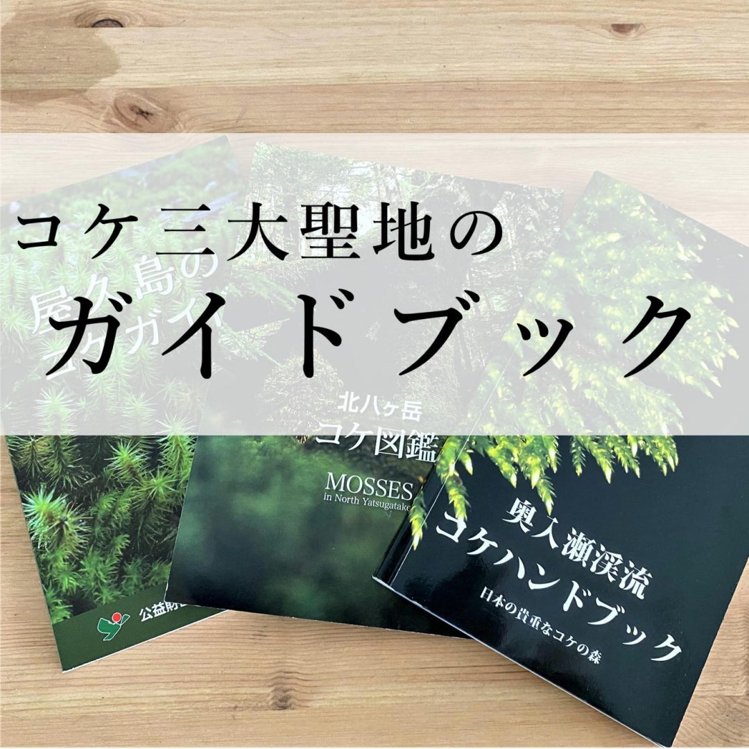 コケ三大聖地 奥入瀬渓流 北八ヶ岳 屋久島 のおすすめガイドブック 苔テラリウム専門サイト 道草michikusa 苔テラリウム 小さなコケの森 コケ商品の企画販売 ワークショップ コケ三大聖地 奥入瀬渓流 北八ヶ岳 屋久島 のおすすめガイドブック 苔テラリウム専門サイト 道草michikusa 苔テラリウム 小さなコケの森 コケ商品の企画販売 ワークショップ