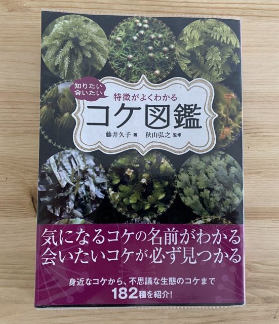 コケ観察におすすめコケ図鑑５選 苔テラリウム専門サイト 道草michikusa 苔テラリウム 小さなコケの森 コケ商品の企画販売 ワークショップ