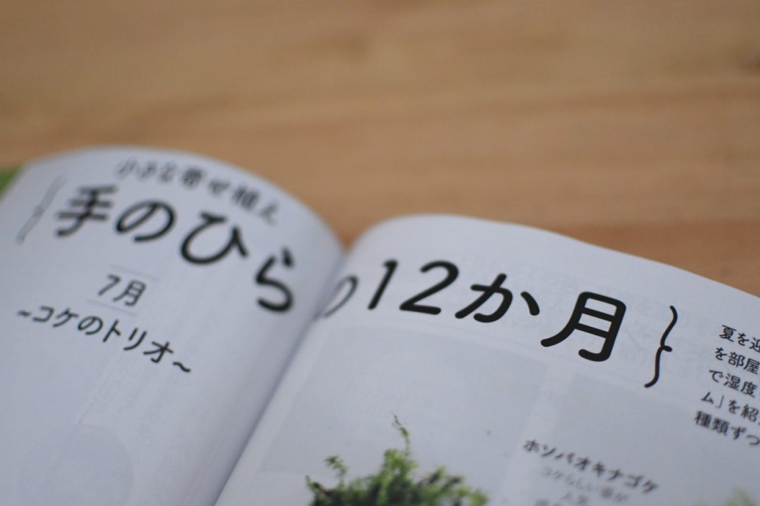手のひらの１２か月