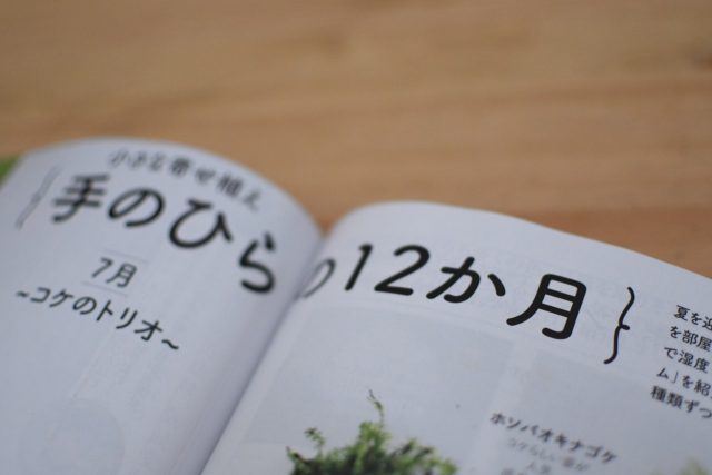 手のひらの１２か月