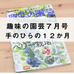 趣味の園芸７月号