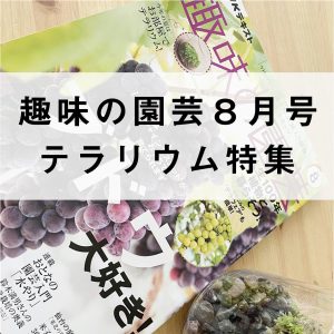 趣味の園芸８月号