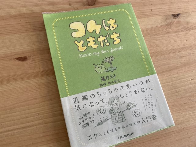 コケはともだち