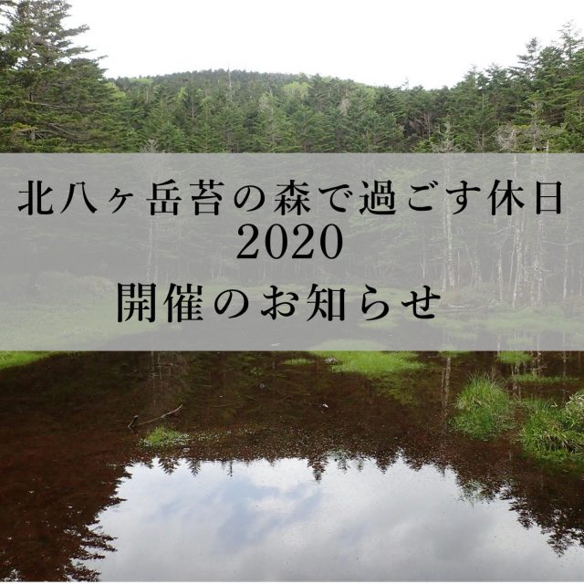 北八ヶ岳募集