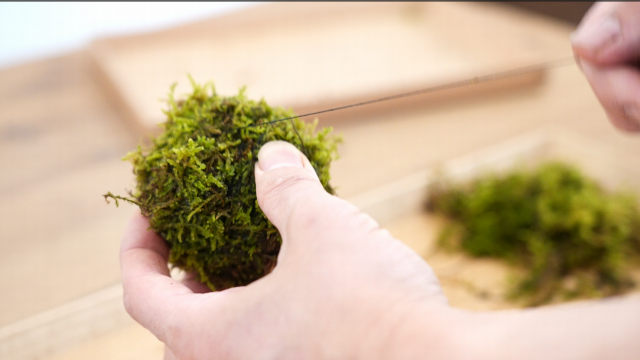 苔玉　作り方