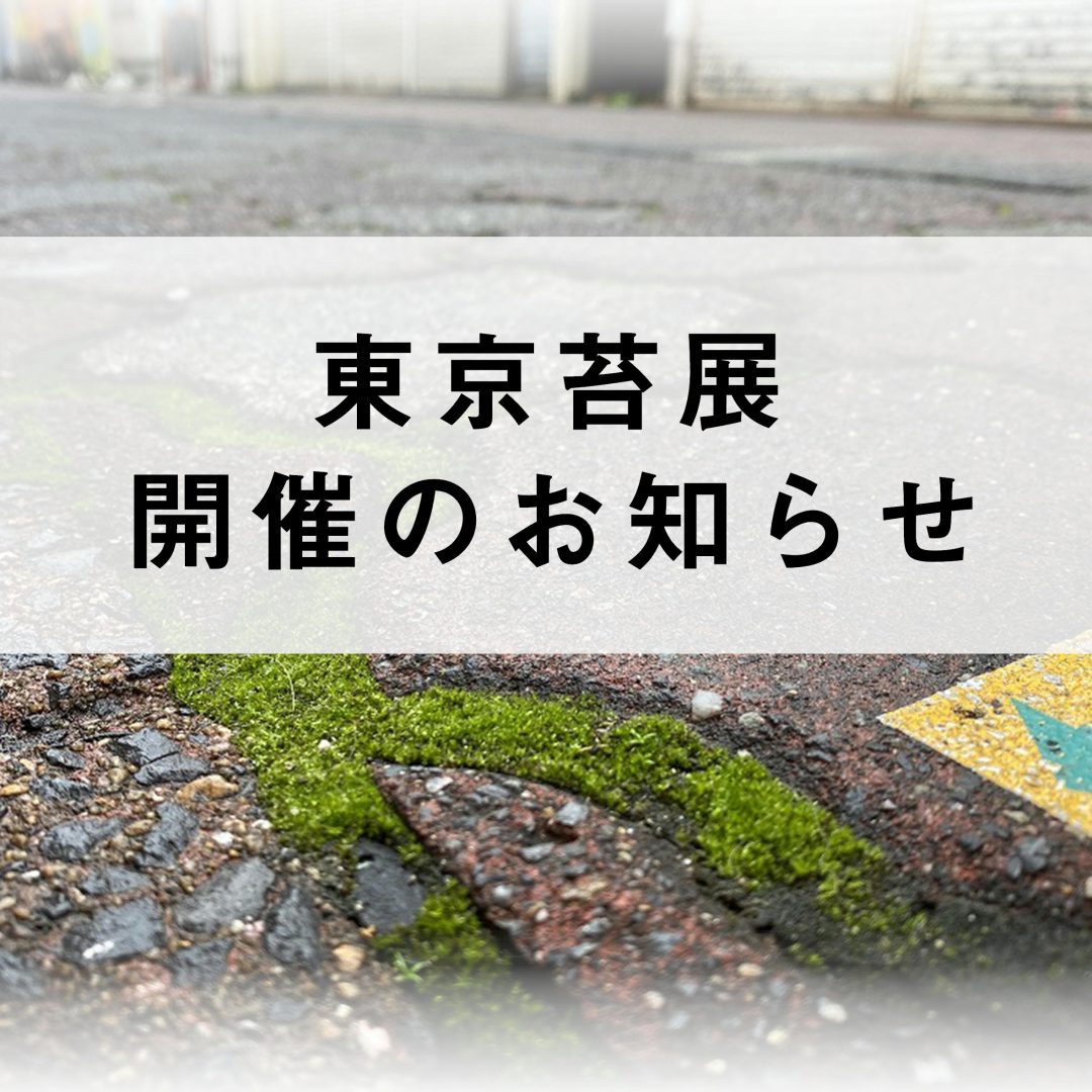 企画展 東京苔展 あなたの傍にそっとコケ 渋谷区ふれあい植物センター 苔テラリウム専門サイト 道草michikusa 苔テラリウム 小さな コケの森 コケ商品の企画販売 ワークショップ 企画展 東京苔展 あなたの傍にそっとコケ 渋谷区ふれあい植物センター 苔テラリウム専門サイト 道草michikusa 苔テラリウム 小さな コケの森 コケ商品の企画販売 ワークショップ