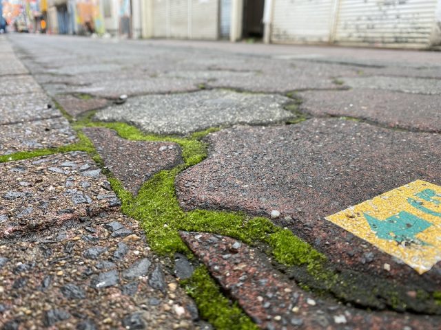 企画展 東京苔展 あなたの傍にそっとコケ 渋谷区ふれあい植物センター 苔テラリウム専門サイト 道草michikusa 苔テラリウム 小さなコケの森 コケ商品の企画販売 ワークショップ
